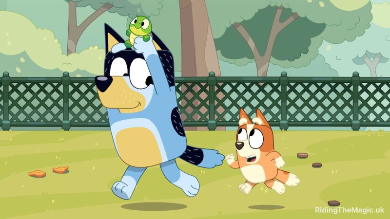 Blue dog and orange dog running in a park with a fence behind them