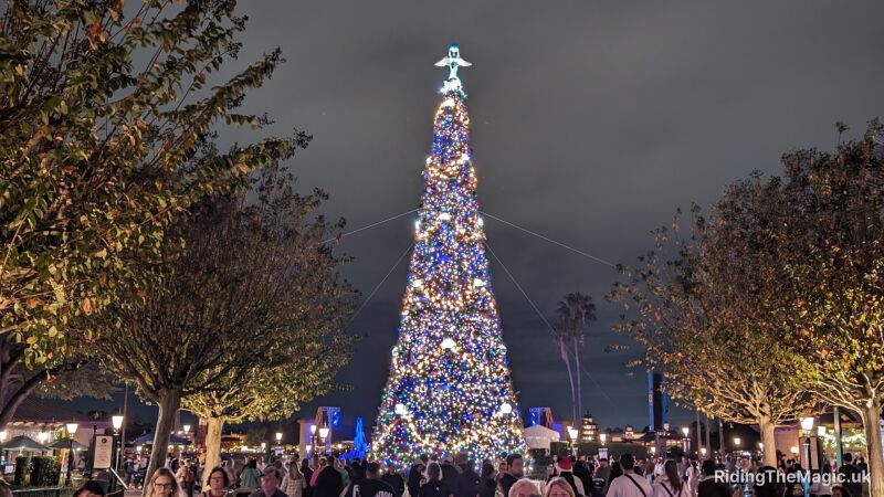 tall christmas tree multicoloured lights with angel on top trees either side dark sky
