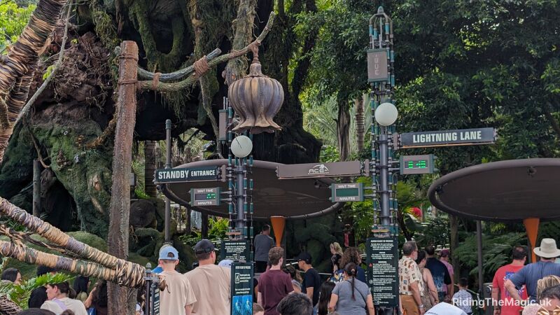 Lightning Lane entrance at Pandora - The World of Avatar at Disney World
