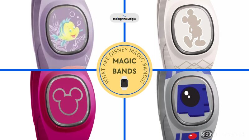 Collage of Disney Magic Bands with the title "What are Disney Magic Bands?"