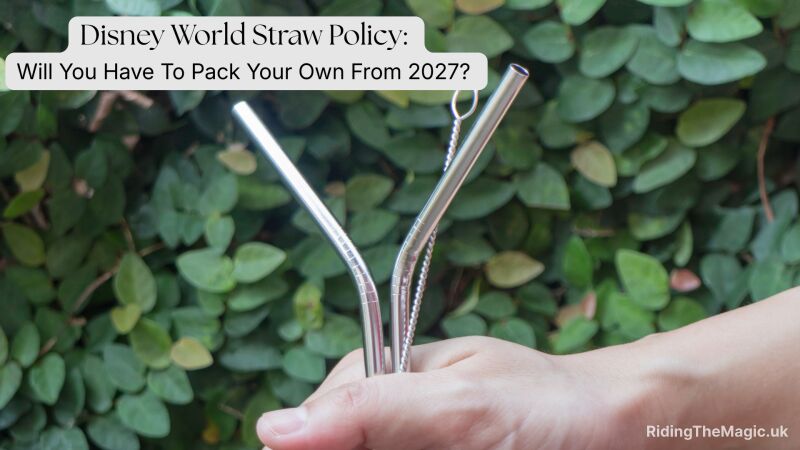 Disney World Straw Policy: Will You Have To Pack Your Own From 2027?