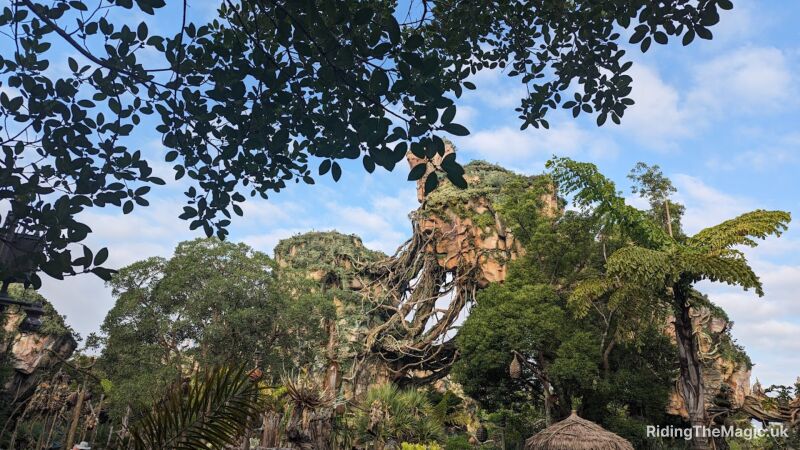 A view of Pandora- The World of Avatar at Disney World with trees and plants