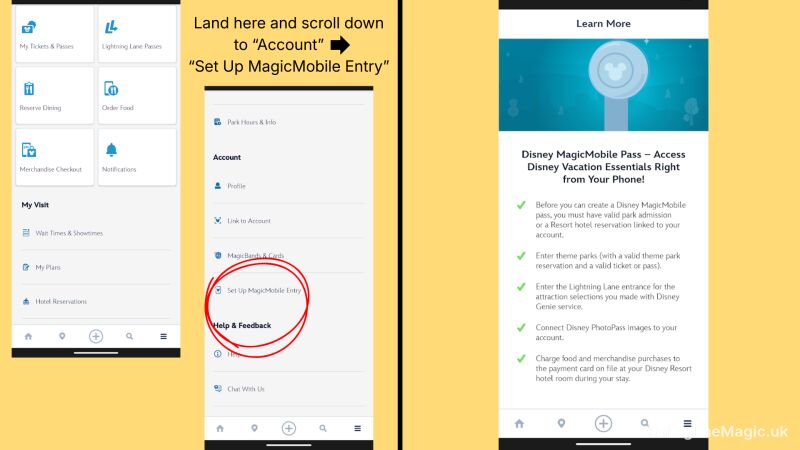 MagicMobile Entry setup instructions with red circle highlighting the Set Up MagicMobile Entry option