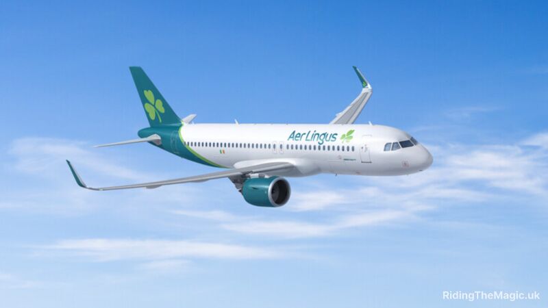 Aer Lingus plane flying in the sky with blue sky and clouds