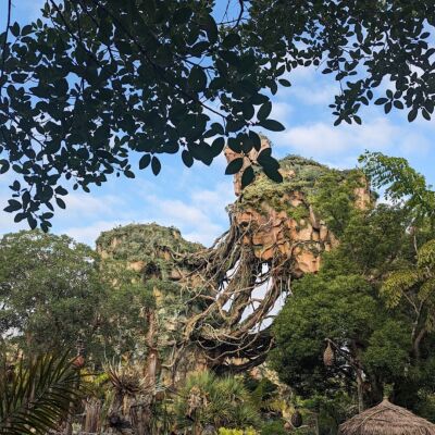 A view of Pandora- The World of Avatar at Disney World with trees and plants